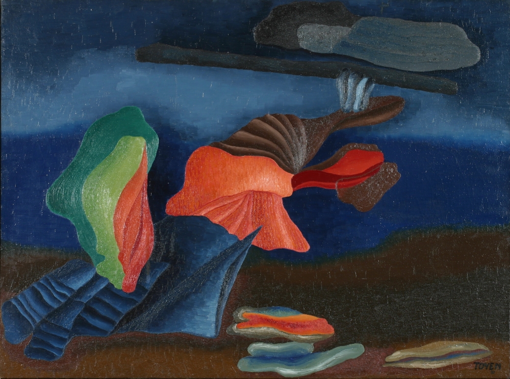 Toyen, Noc v oceánii, 1931, olej na plátně