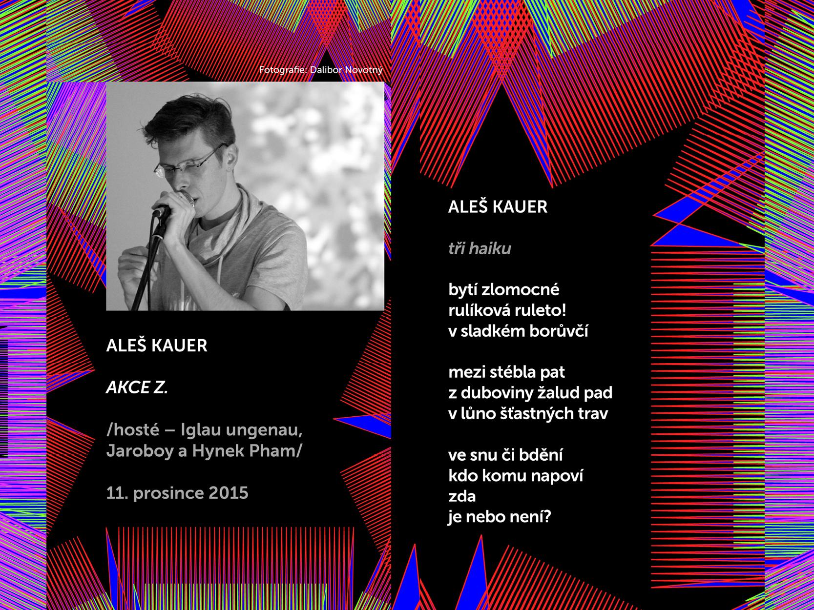 Básníci v prostoru Zlín 2015: Aleš Kauer