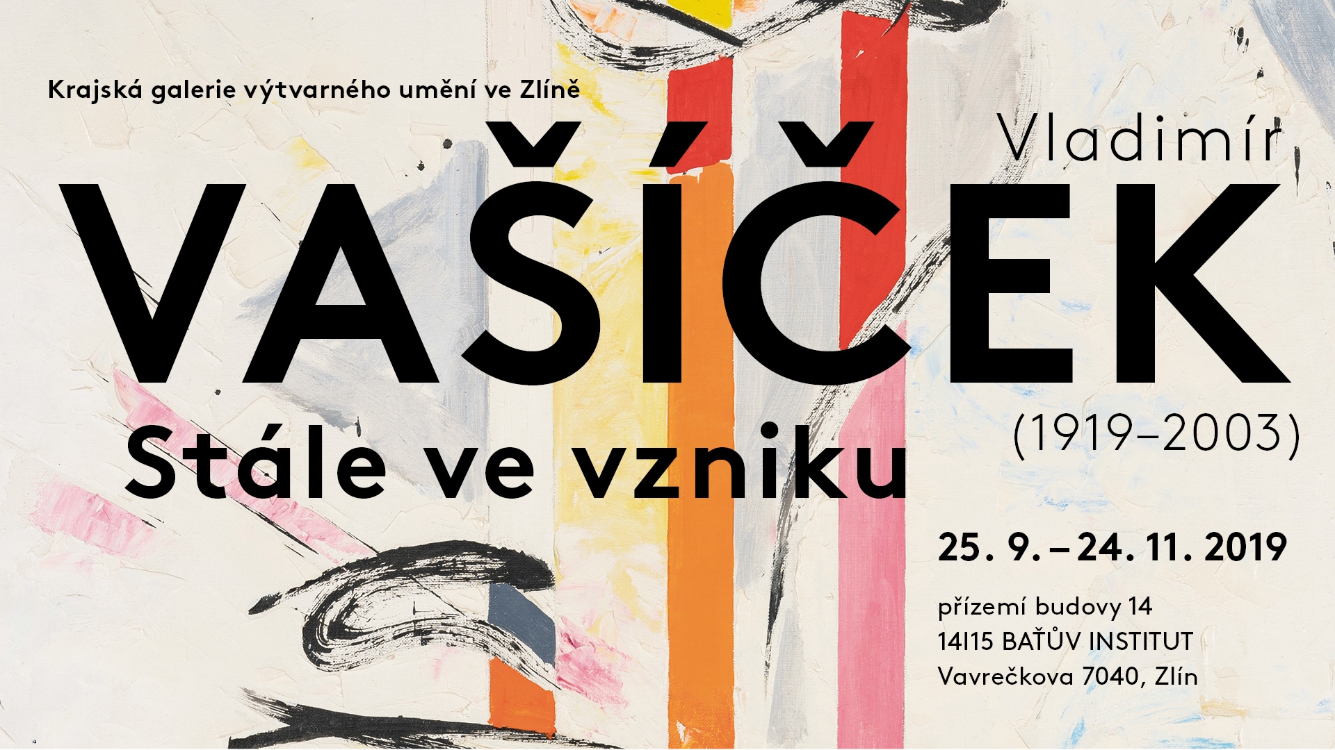 KGVUZ VASICEK 2019 1920 X 1080 GALERIE