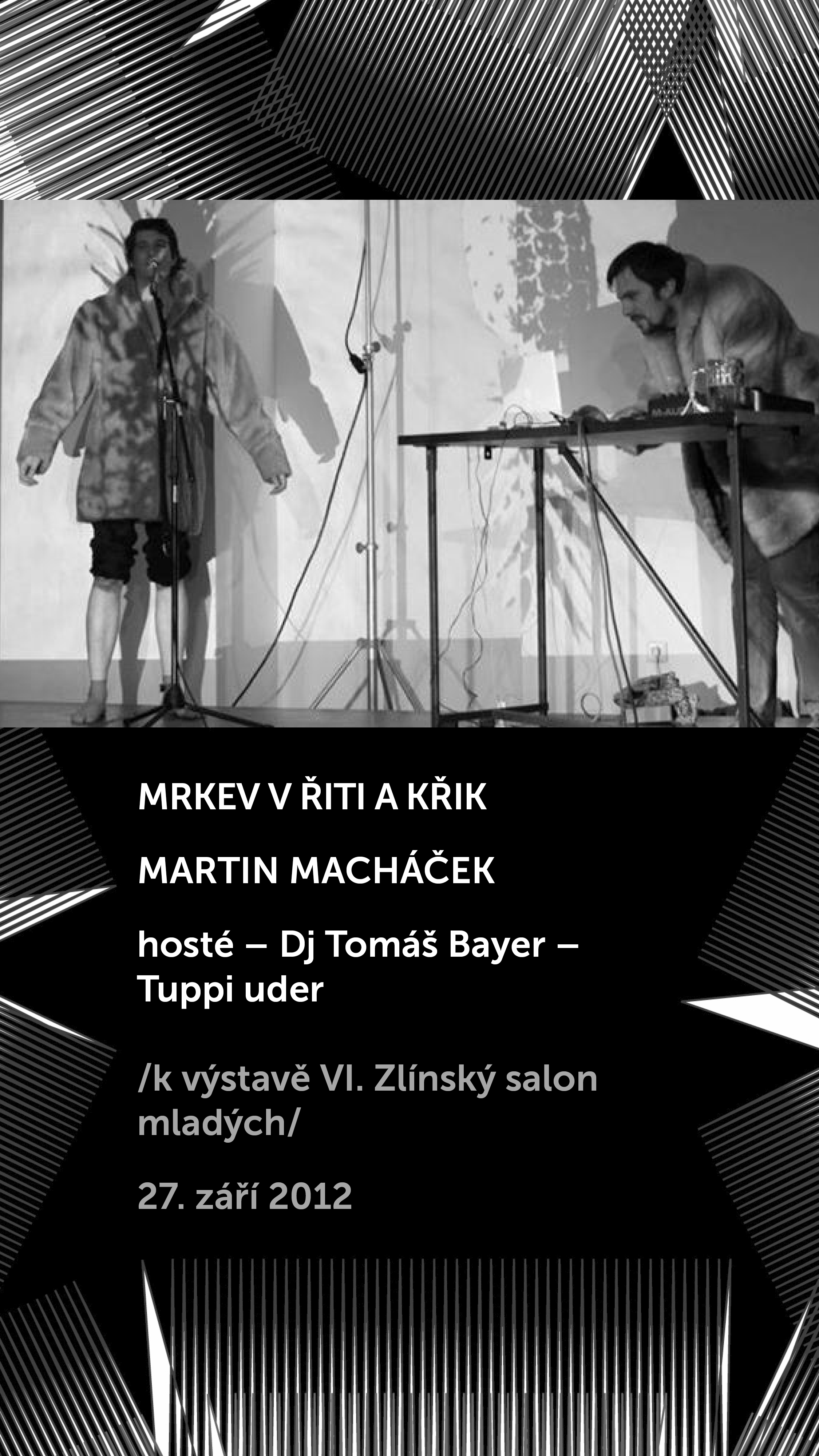 Mrkev v řiti a křik, Martin Macháček k výstavě VI. Zlínský salon mladých